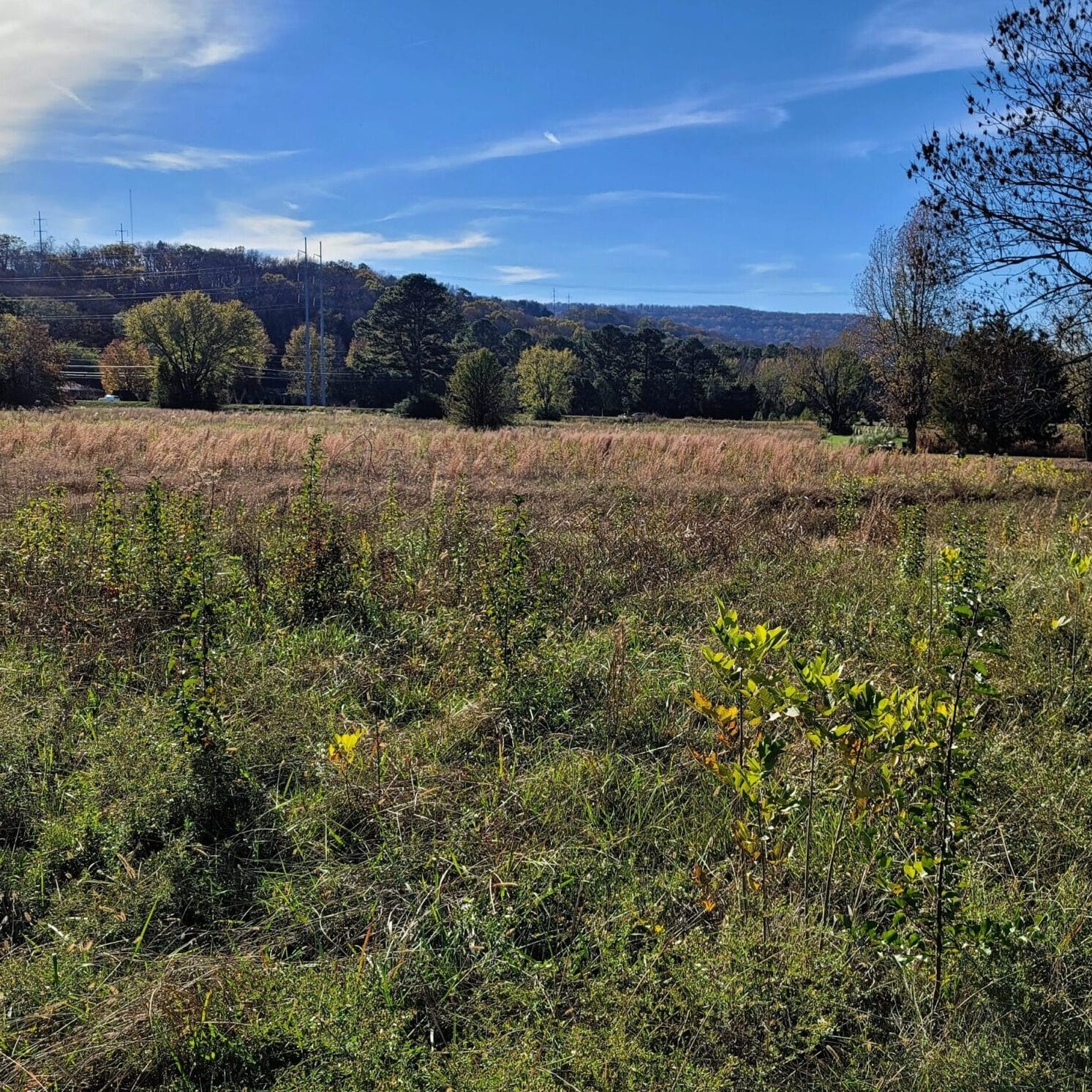 Huntsville Self-Storage screenshot